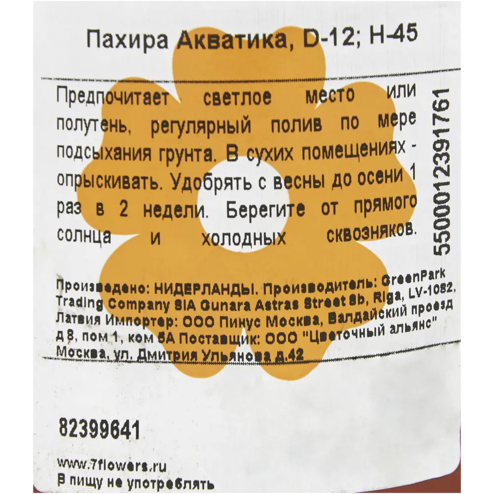 Пахира Акватика 12x45 см 82399641 STLM-2063656 Santreyd  - Вид №2