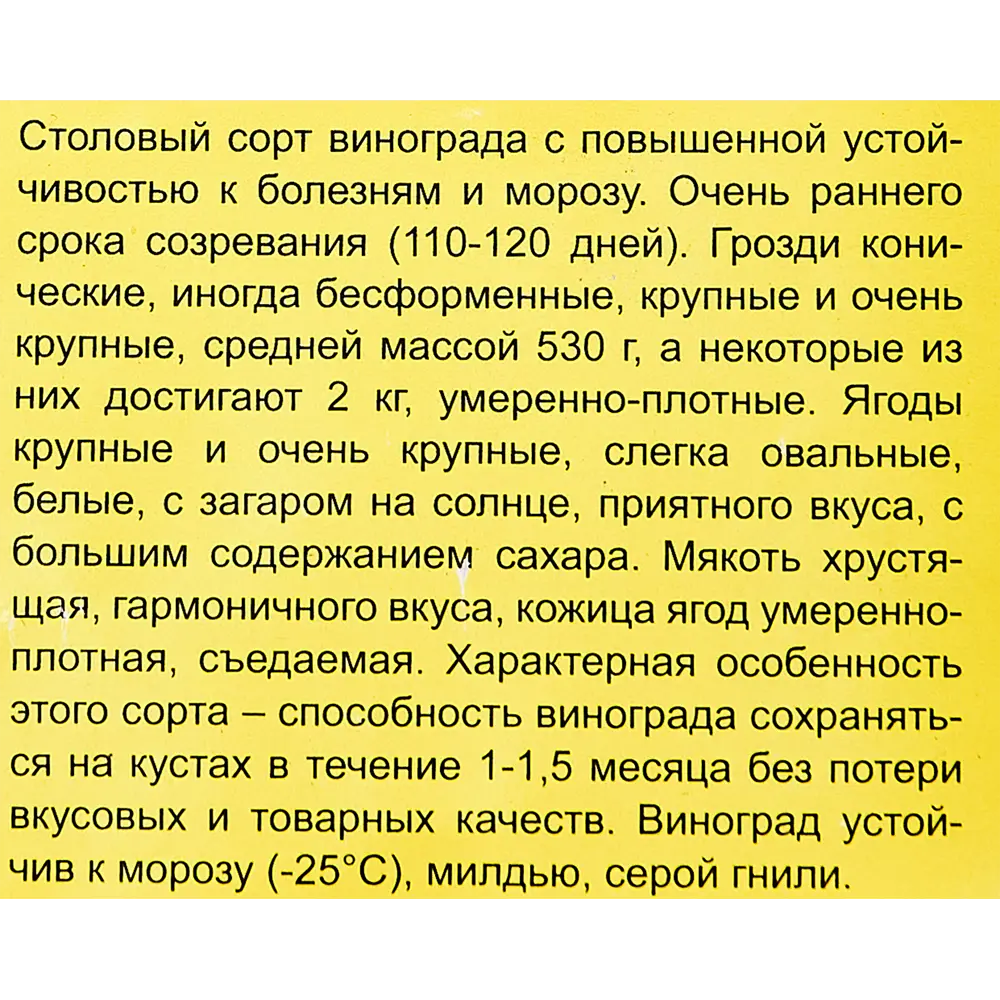 Виноград плодовый Восторг h40 см 83791402 STLM-2077064 Santreyd  - Вид №4