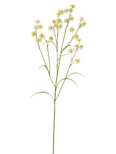 30.0617214LGY Астранция Вайлд бело-зелёно-лимонная Цветочная коллекция