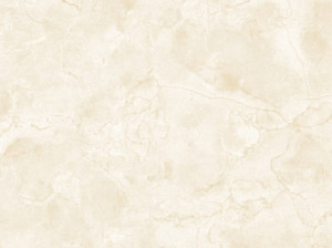 Пол / керамогранит с мраморным эффектом