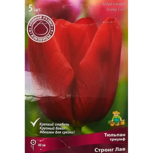 Тюльпан Триумф Стронг лав луковица 12/14, 5 шт. 88294799 STLM-2106925