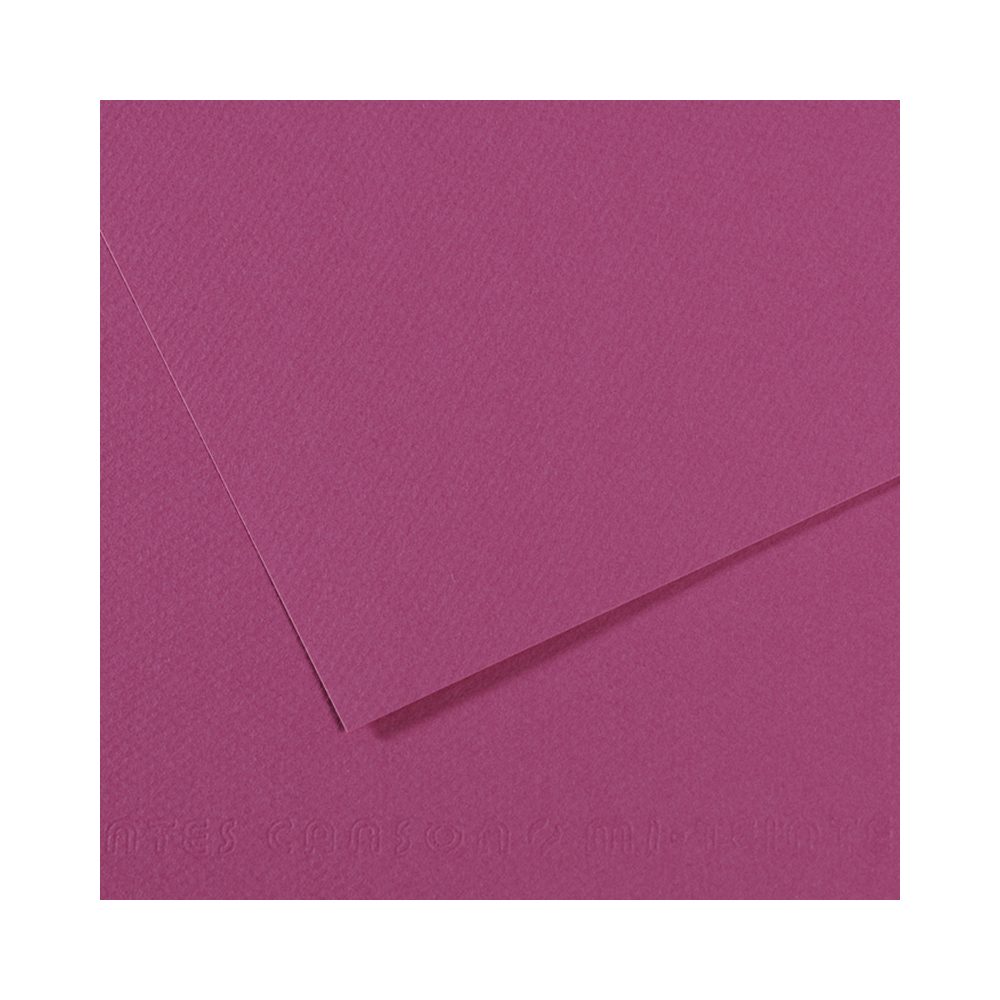 200321217 Бумага для пастели Mi-Teintes 160 г/м2 75 х 110 см лист №507 фиолетовый Canson 