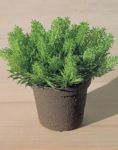 5100 883 a2 Искусственный веник мясник, горшок, синтетический материал, 11 см, зеленый H-andreas