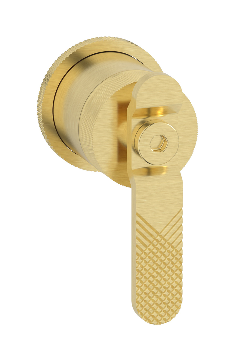 Внешние части встроенного смесителя на 1 потребителя WE ARE IB b2305is Brushed Pale Gold Bold