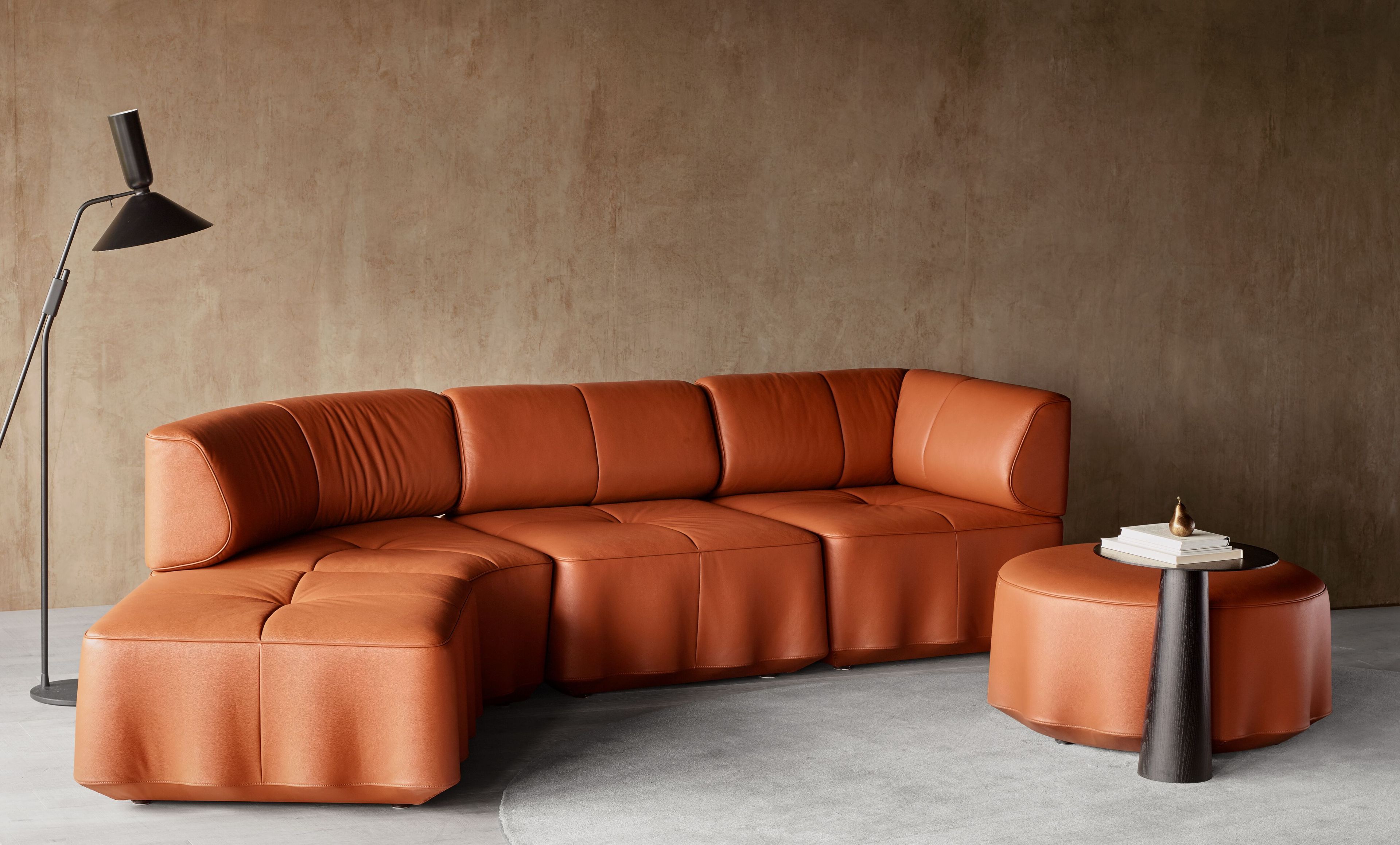 Кожаный пуф de Sede DS-808 ARCH-00002011 - Вид №5