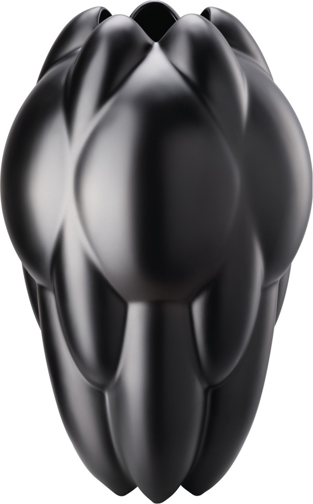 10640554 Rosenthal Ваза Rosenthal Суть 25см, фарфор, черная, матовая (Седрик Раго) Фарфор 