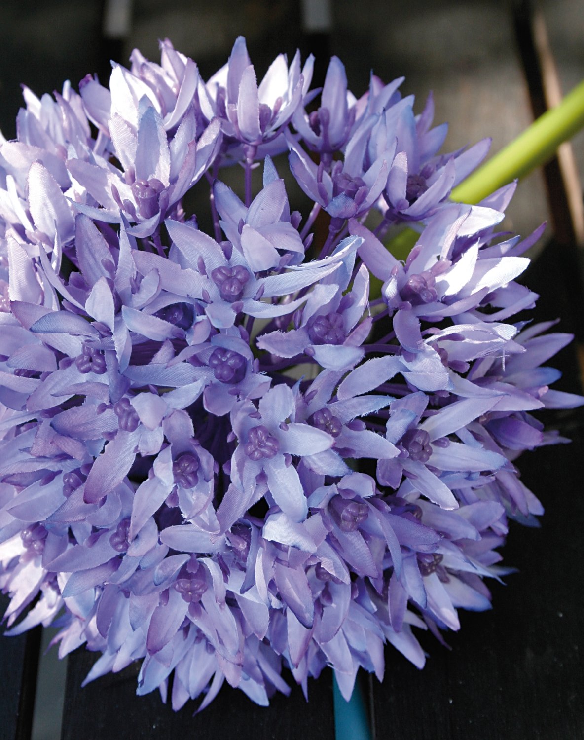 9807 227 a2 Искусственный лук, 71 см, светло-фиолетовый-темно-фиолетовый H-andreas  - Вид №3