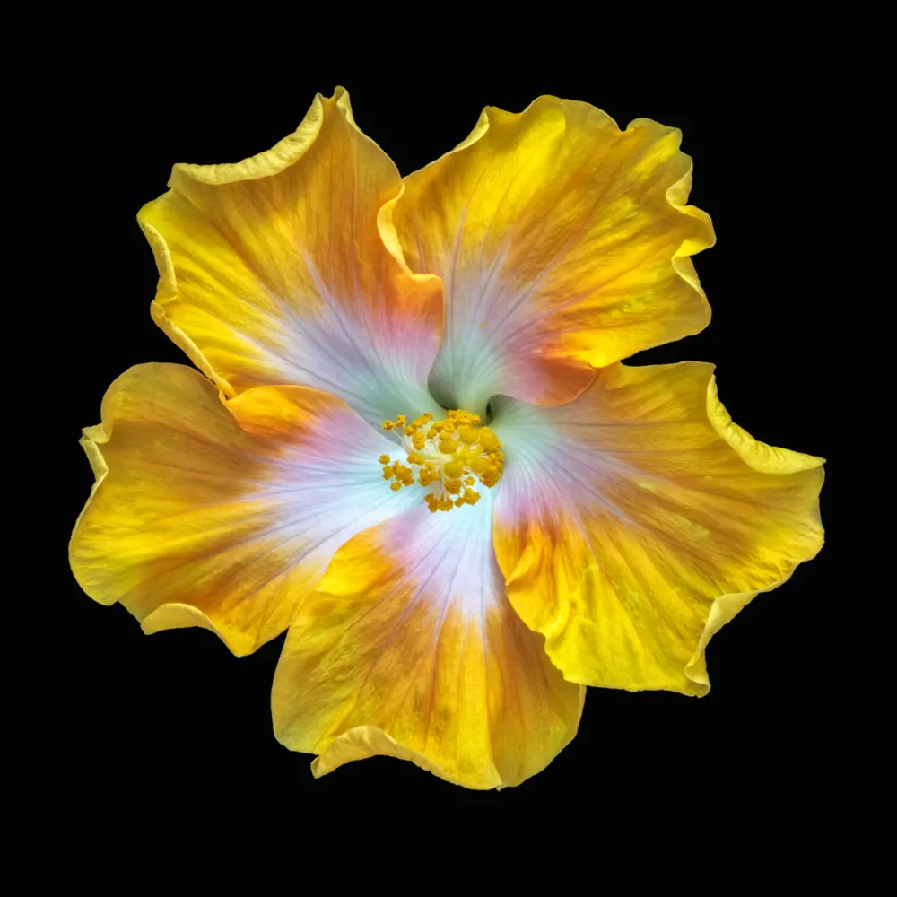 Картина на стекле Цветочная фантазия 2 30x30 см 83515672 STLM-2212220 POSTERMARKET 