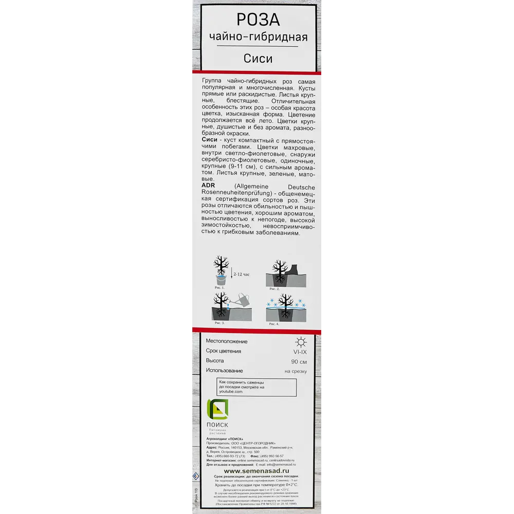 Розы чайно-гибридные «Си-Си» 18348081 STLM-2183649 Santreyd  - Вид №2