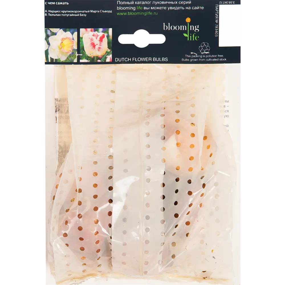 Тюльпан «Перпл Серкус» размер луковицы 12, 7 шт. 82665848 STLM-2057436 BLOOMING LIFE  - Вид №1