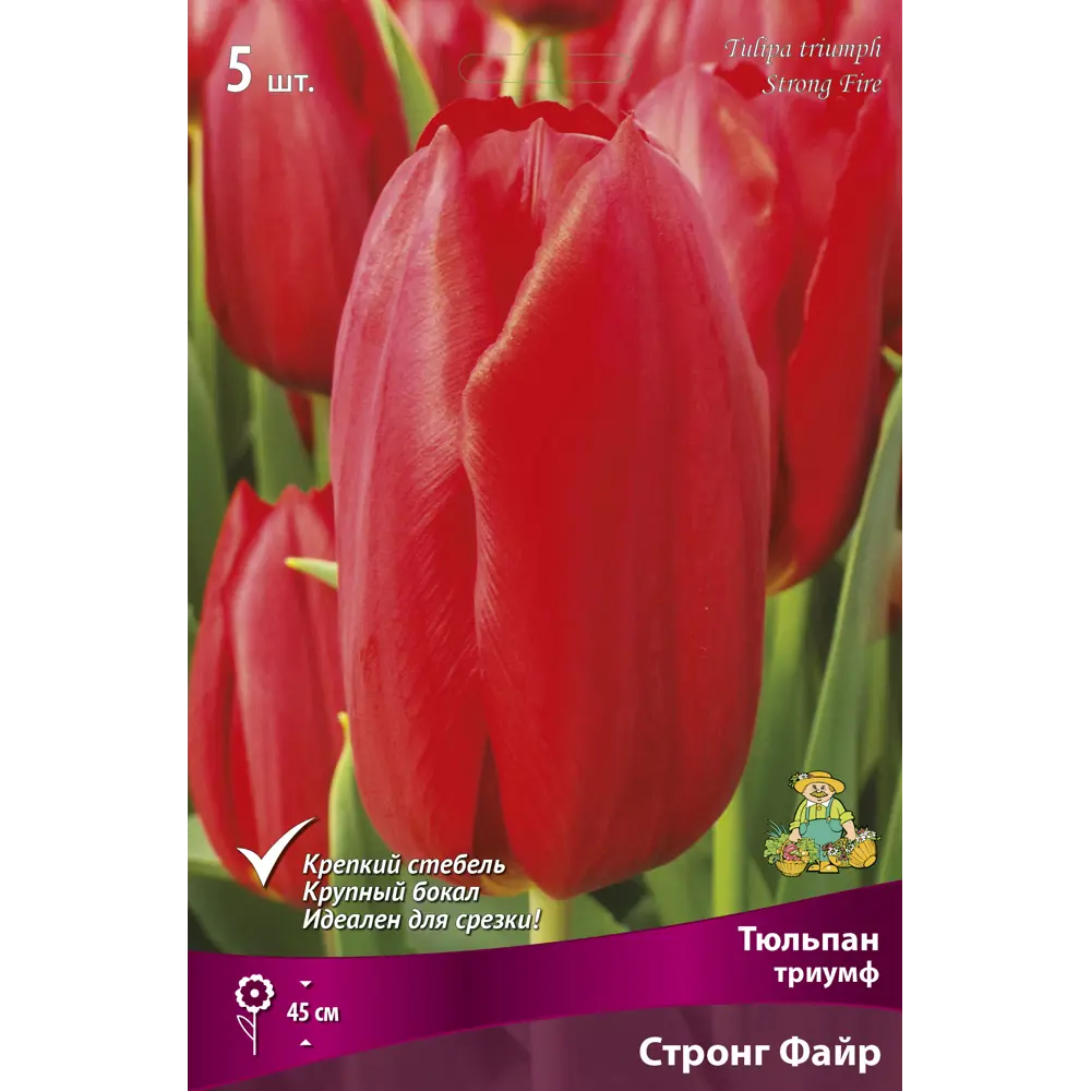 Тюльпан Триумф Стронг Файр, 5 шт 85205591 STLM-2138886 ПОИСК 