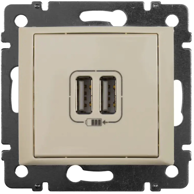 Legrand Valena Classic USB розетка с двумя портами, слоновая кость 82307210