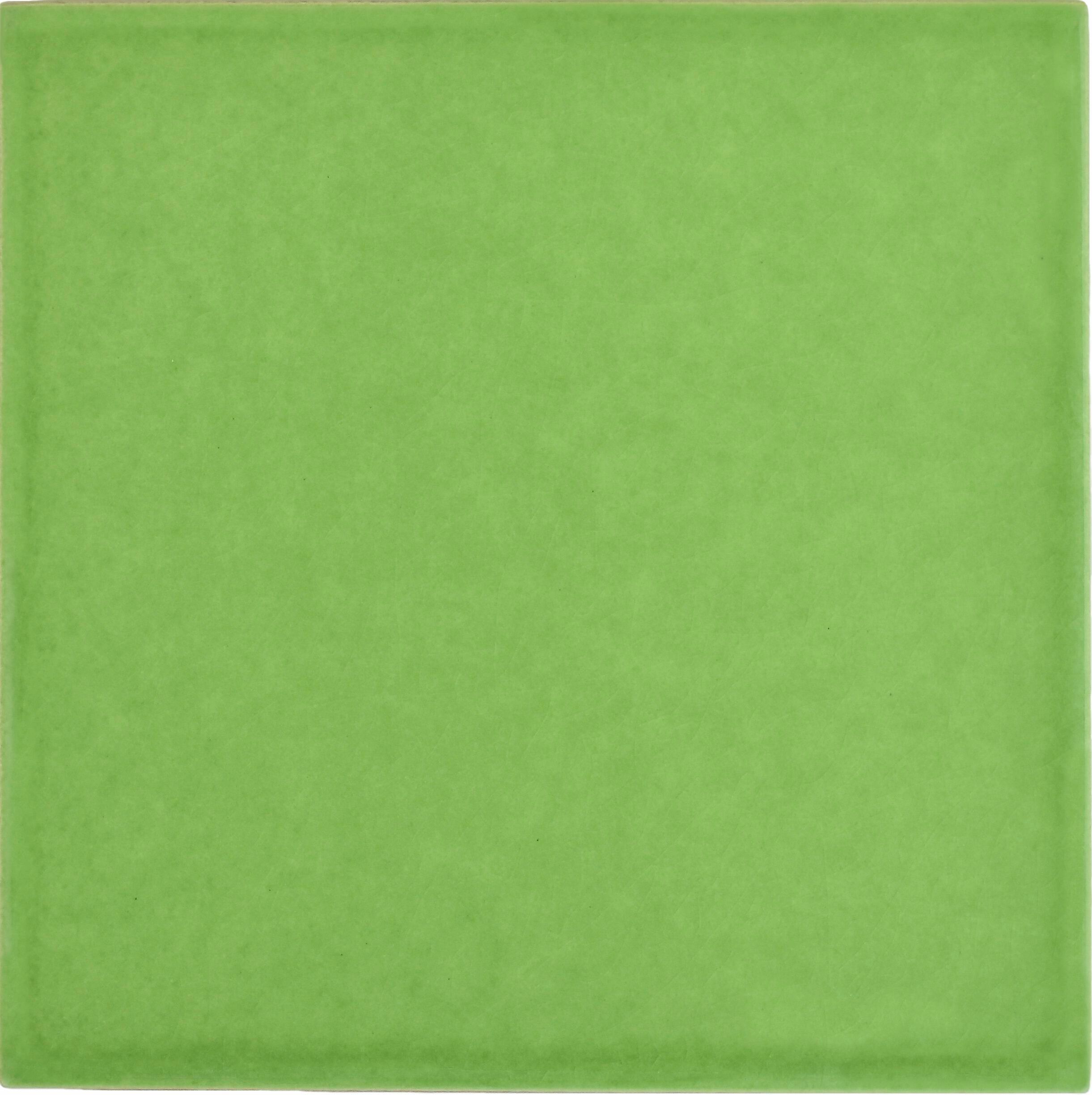 Пол / покрытие ручной работы La Riggiola одноцветный ARCH-00082525