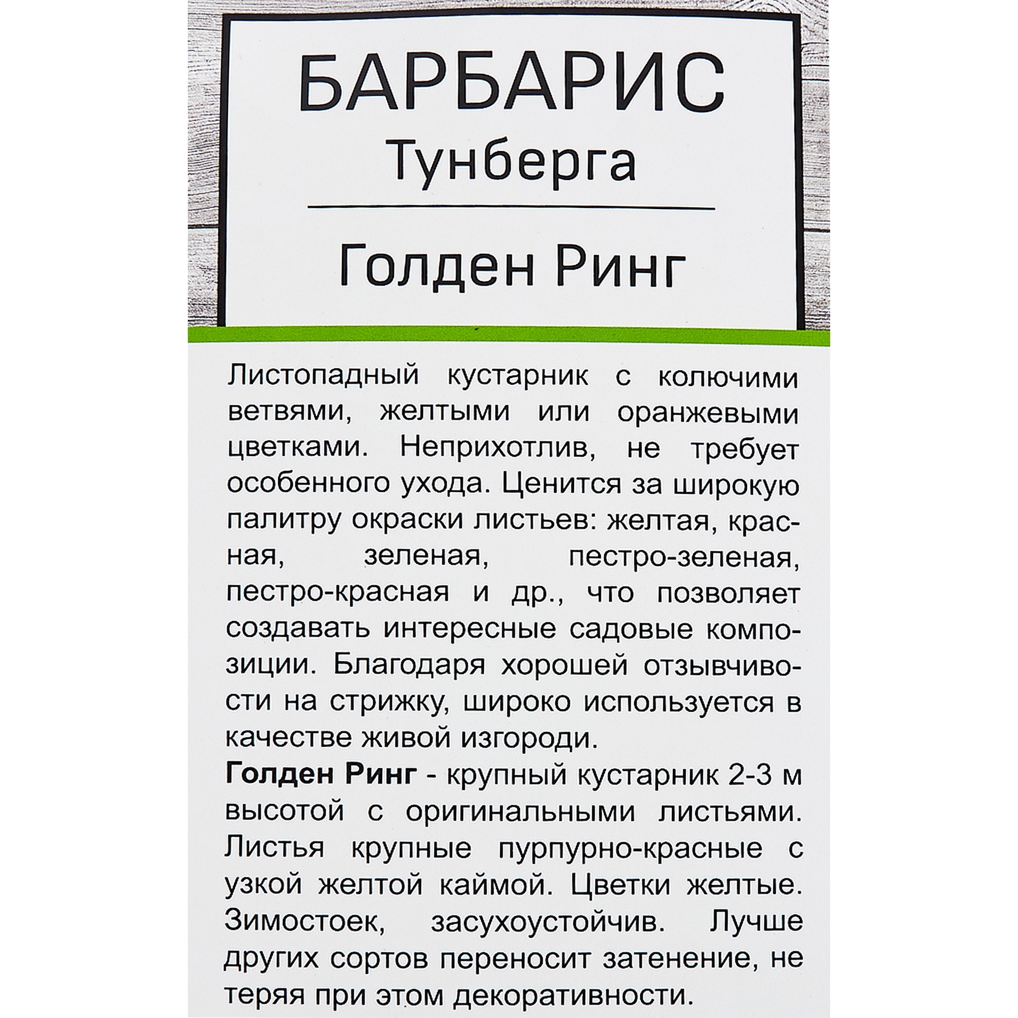82528947 Барбарис Тунберга Голден Ринг Santreyd  - Вид №2