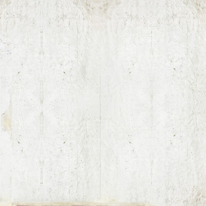 WP08022A Обои декоративные Adriani e Rossi 