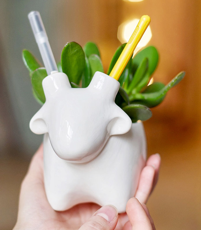 Набор для выращивания Eco Овечка ЭКОЧЕЛОВЕКИ 3003 - Вид №6