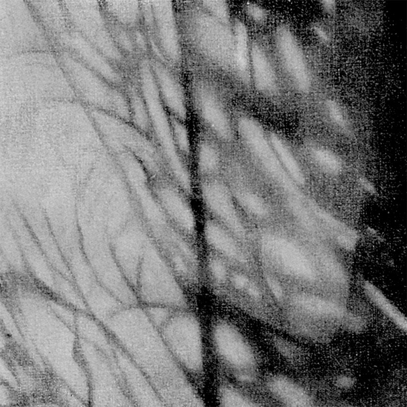 0915/CX38 Картина 0915 Adriani e Rossi  - Вид №3