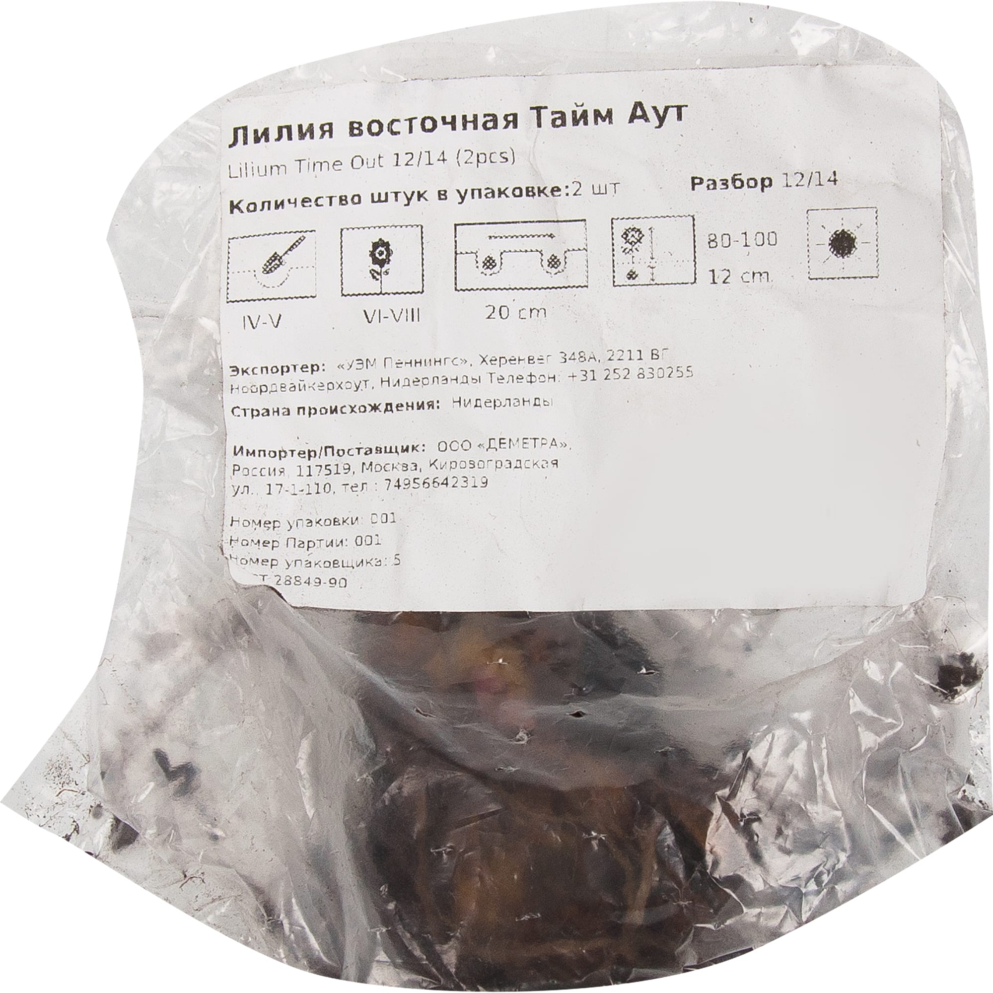 83760997 Лилия восточная Тайм Аут луковица 10/12 Santreyd  - Вид №1