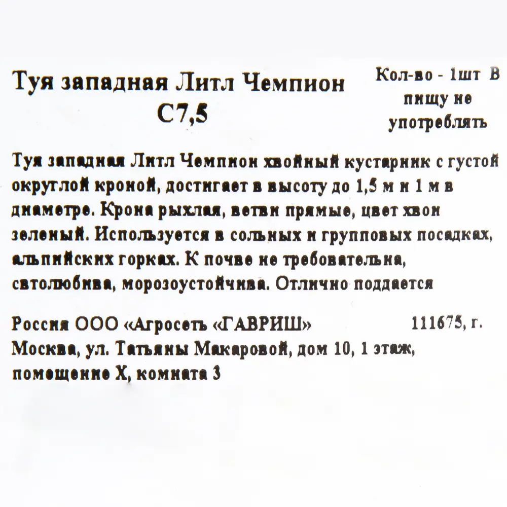 Туя западная «Литл Чемпион» C7.5 82171913 STLM-2189974 ГАВРИШ  - Вид №1
