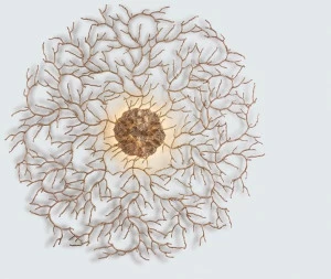 Serip Бра из бронзы ручной работы Coral Ap1485