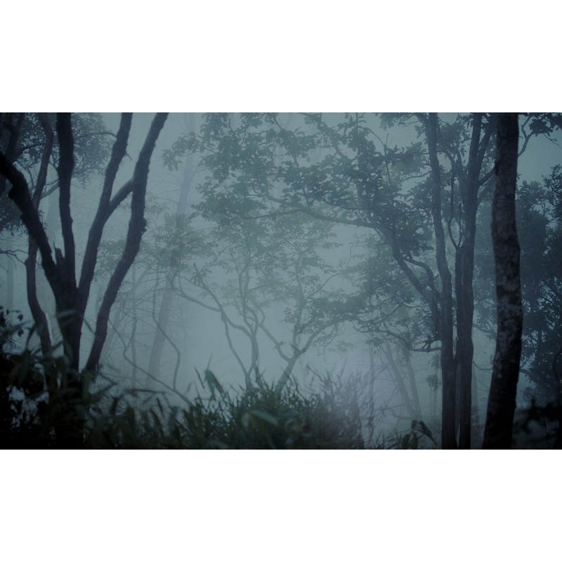 WP02025A Обои декоративные Adriani e Rossi  - Вид №1