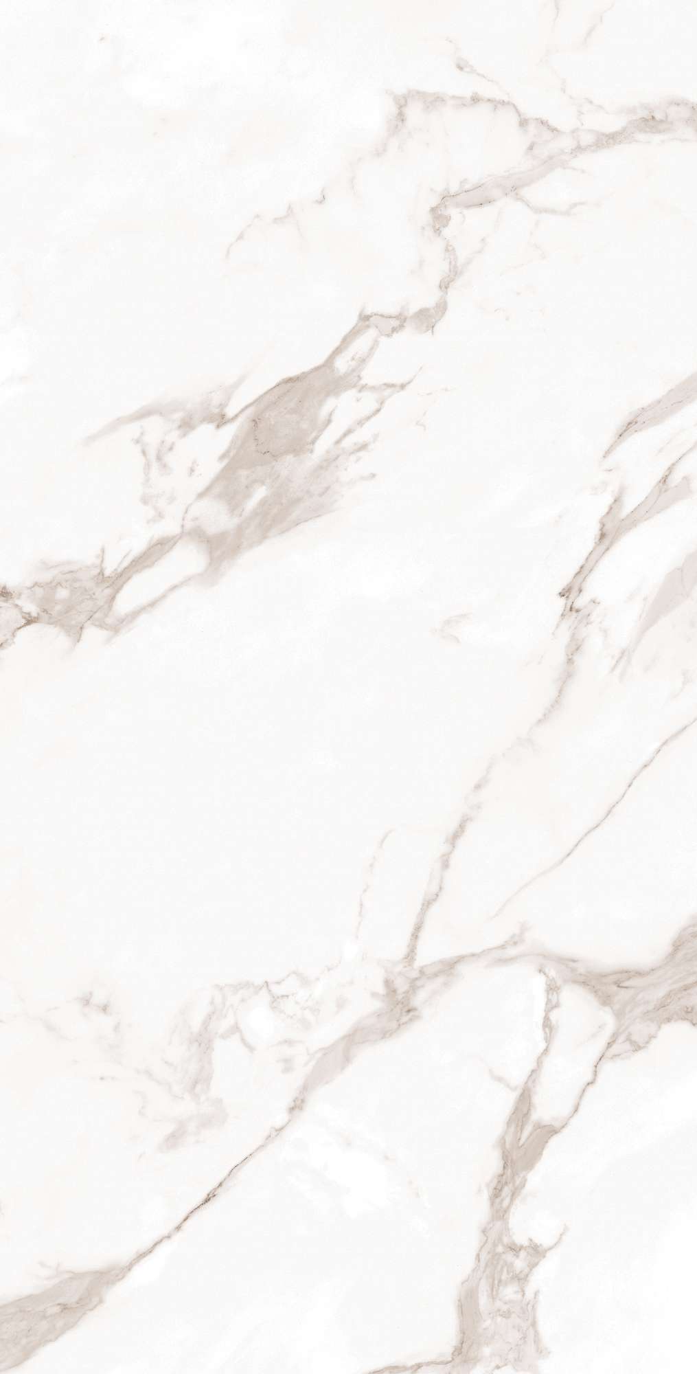 CALACATTA BIANCO — Элегантность мрамора в вашем интерьере FP1019-A Arcadia Ceramica - Вид №3