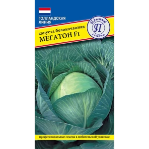 Престиж Семена: Капуста Мегатон F1 для обильного урожая 89359277