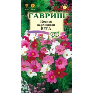 ГАВРИШ Космея Вега - нежные цветы для сада и букетов 83583215