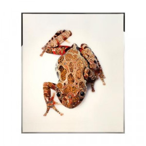 Rana Смешанная техника Visionnaire