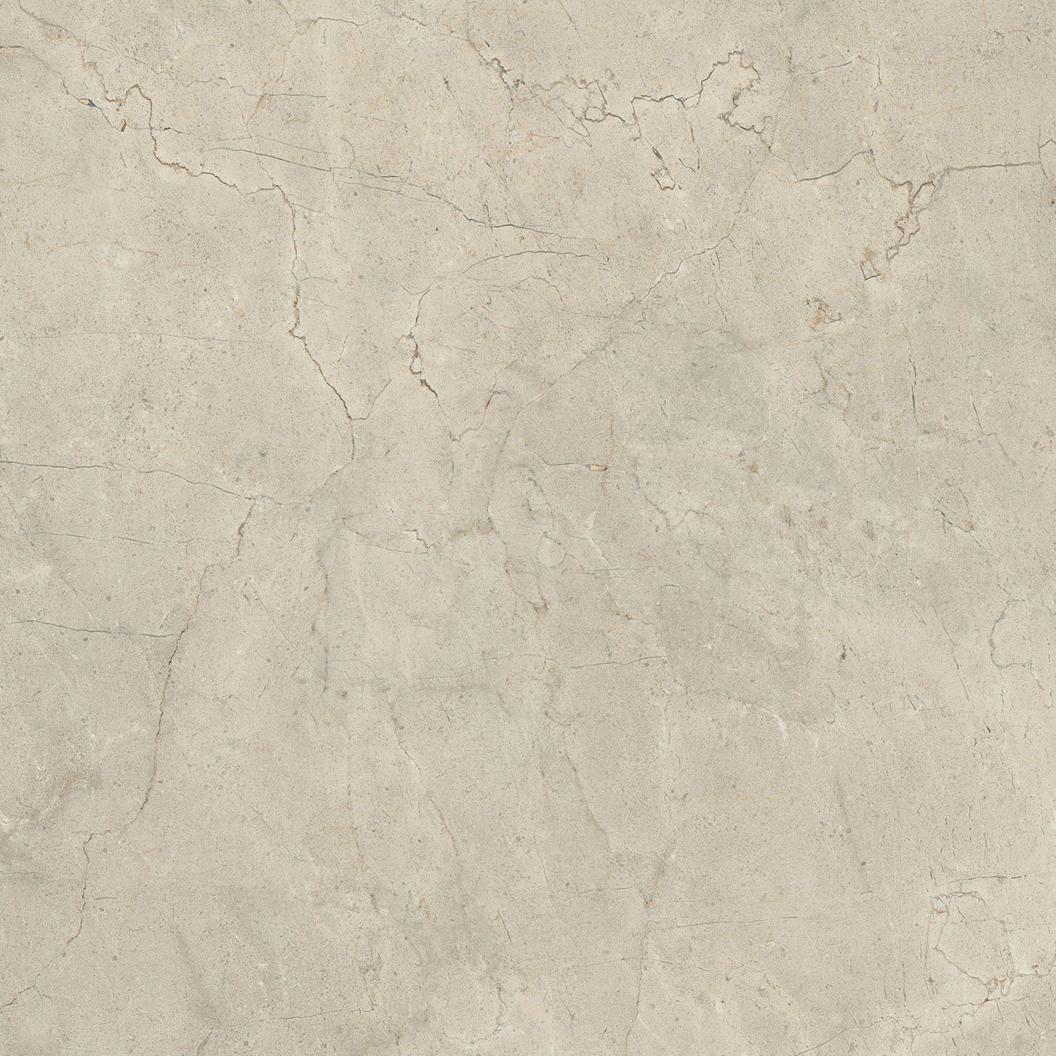 Пол / облицовка керамогранита с эффектом камня Italgraniti Calcis ARCH-00112215 - Вид №16