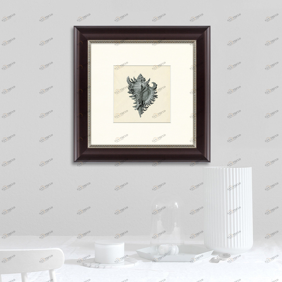 Картина в раме 35х35 см "Морской обитатель №1, 1877г" КАРТИНЫ В КВАРТИРУ  093856 Серый 