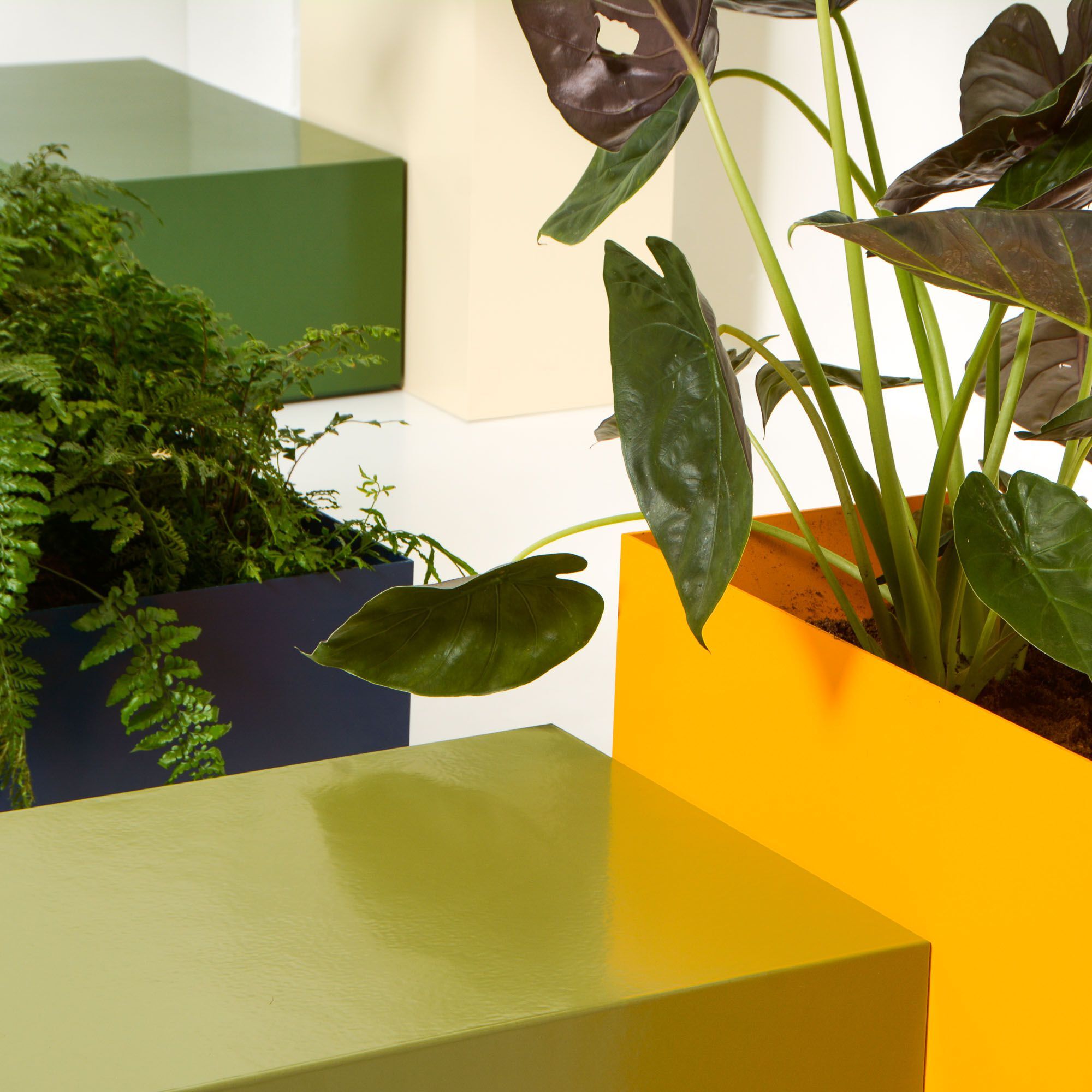 Высокая алюминиевая сеялка с порошковым покрытием SIXINCH PLANTER ARCH-00090881 - Вид №9