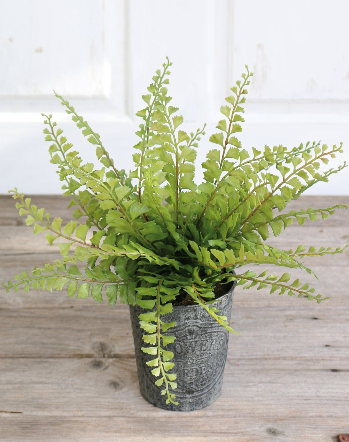 6535 883 a3 Фальшивый папоротник maidenhair, горшок, 35 см, зеленый H-andreas 