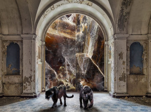 Декоративная панель из алюминия, стекла или ПММА