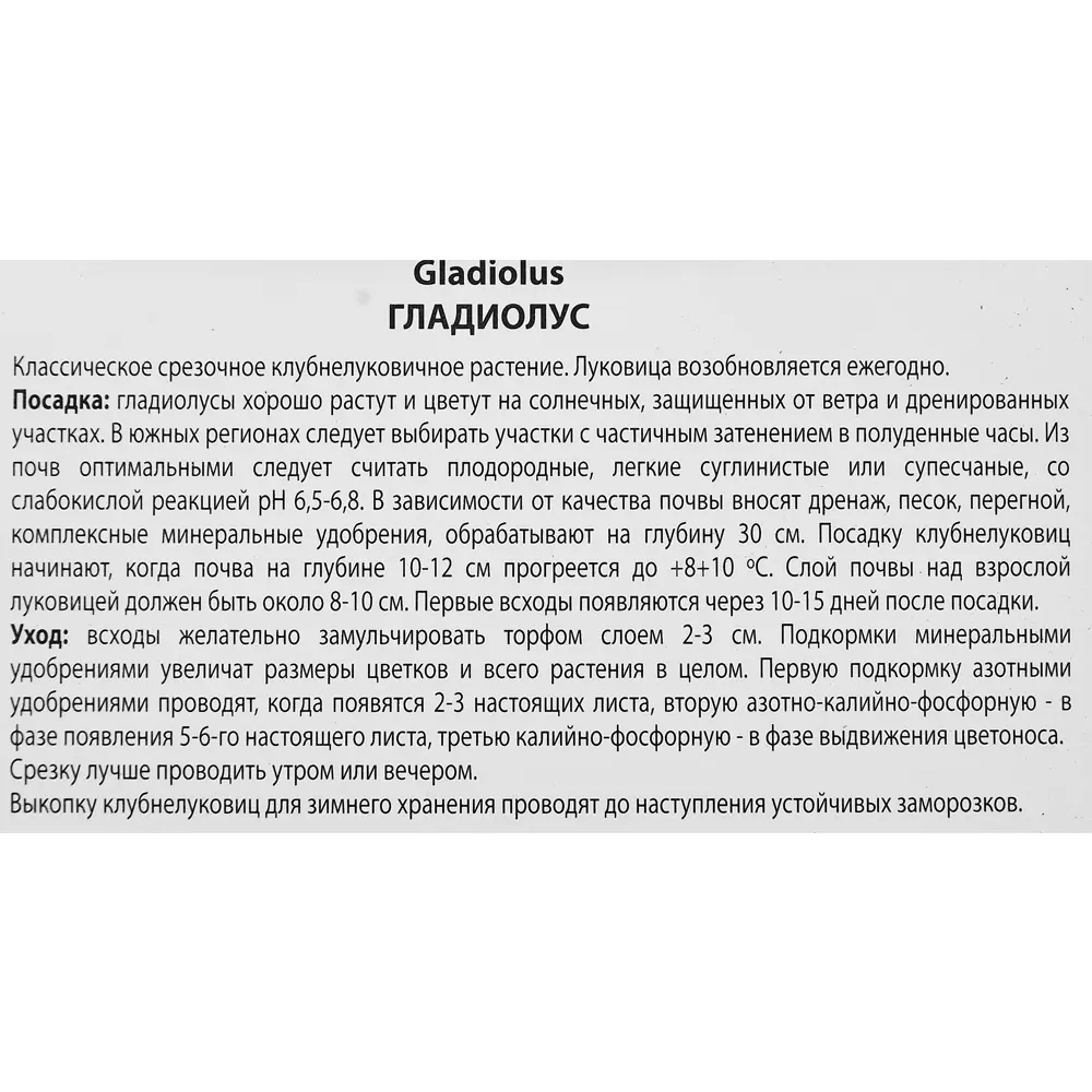 Гладиолус крупноцветковый Волбит, 3 шт. 89351785 STLM-2058543 ПОИСК  - Вид №2