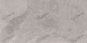 Dorset Smoke 25x50 Argenta sun-id-312277