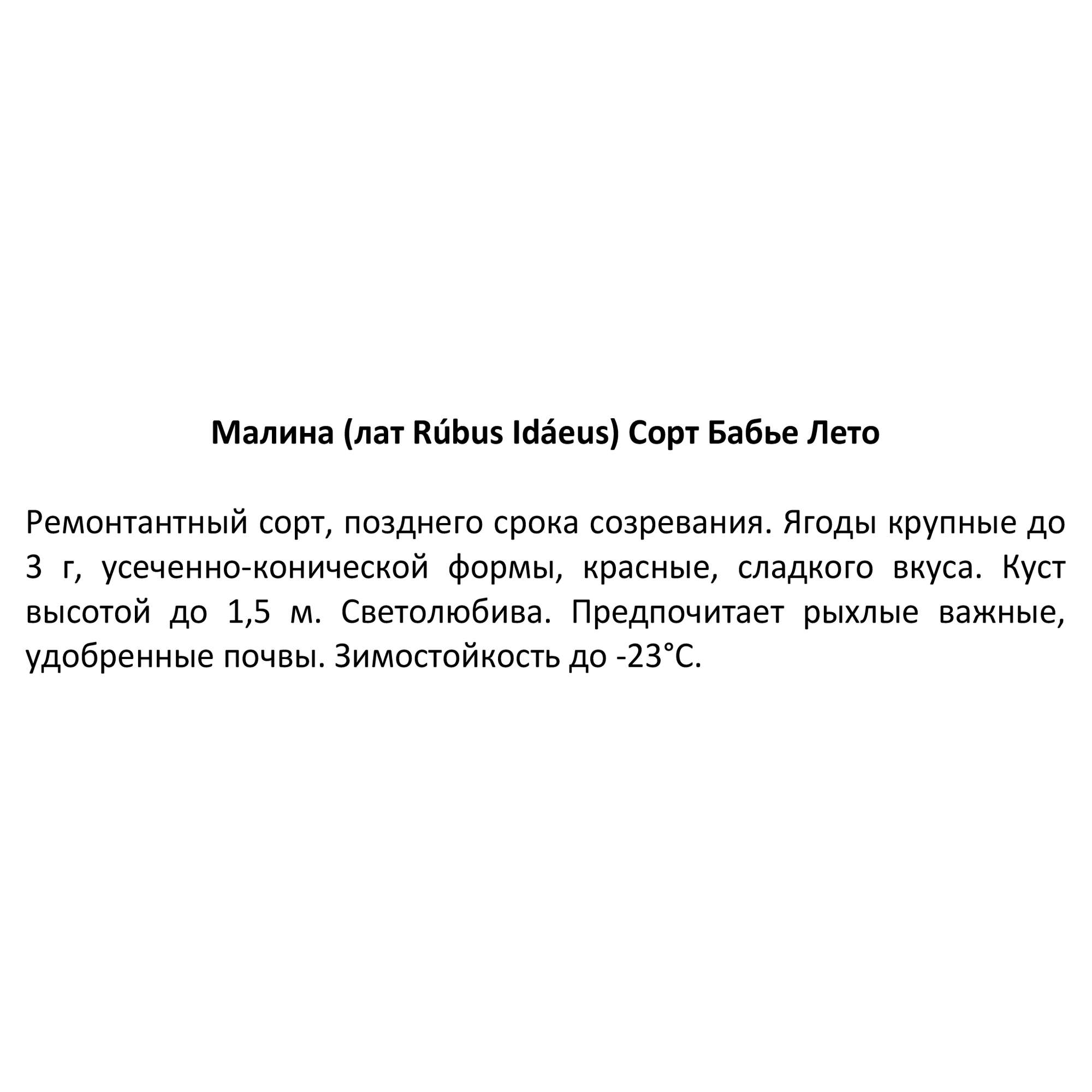 Саженец малины микс Santreyd - ранний урожай с двойным плодоношением 85608184 STLM-0064586 - Вид №2