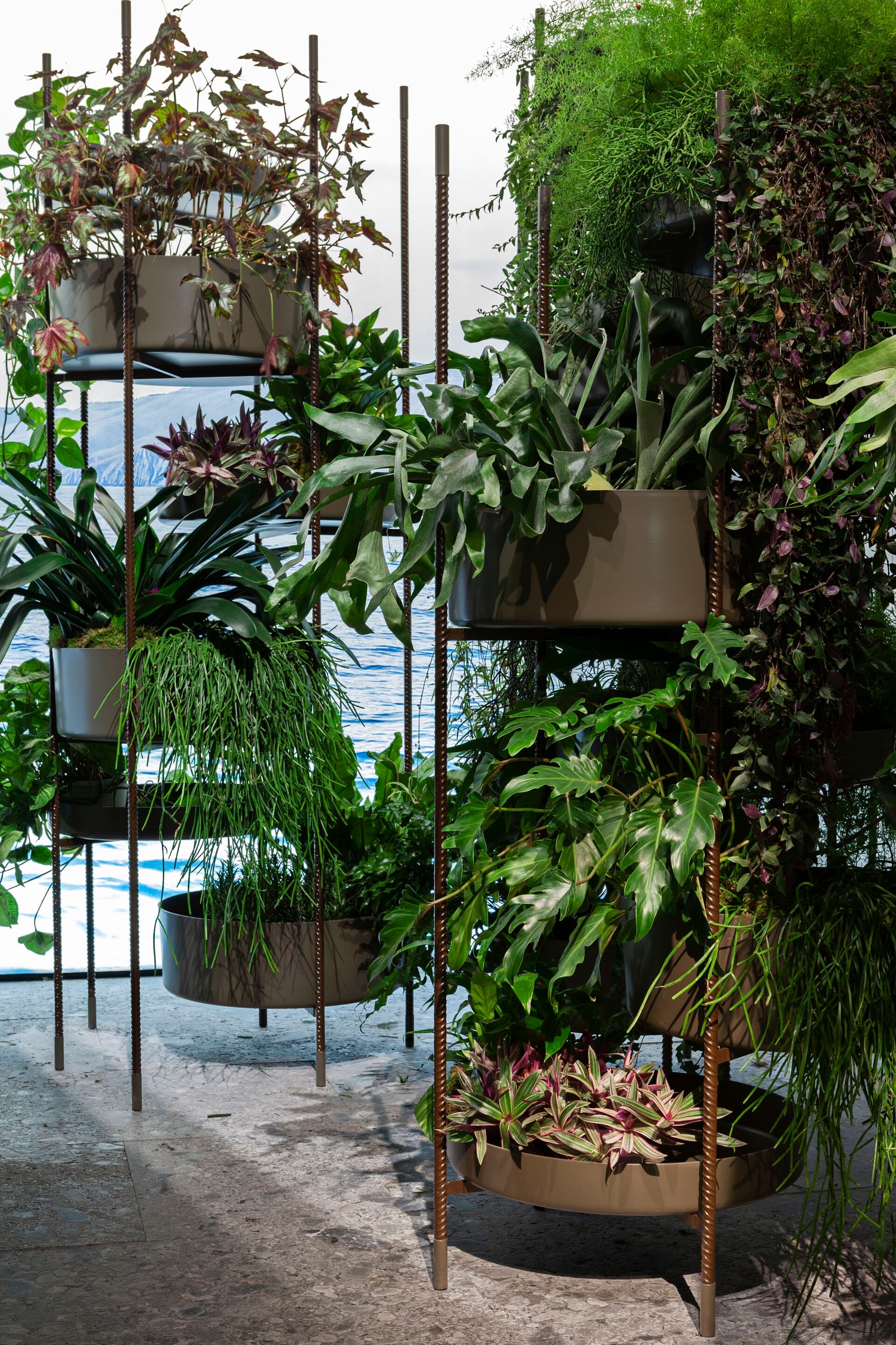 Нержавеющая сталь высокий горшок держатель Exteta 10th ARCH-00092532 - Вид №2