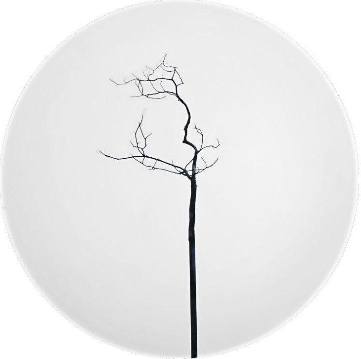 62357 Dibbern Тарелка закусочная Dibbern "Чёрный лес" 21см Фарфор костяной 