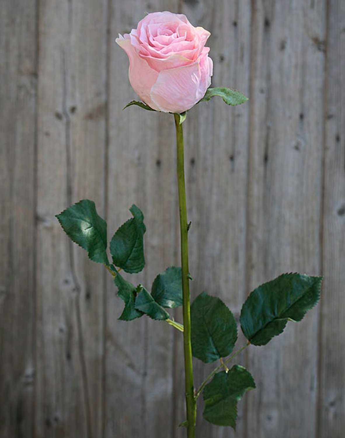 3256 510 a3 Роза искусственный цветок Duchesse, 85 см, розовая H-andreas  - Вид №1