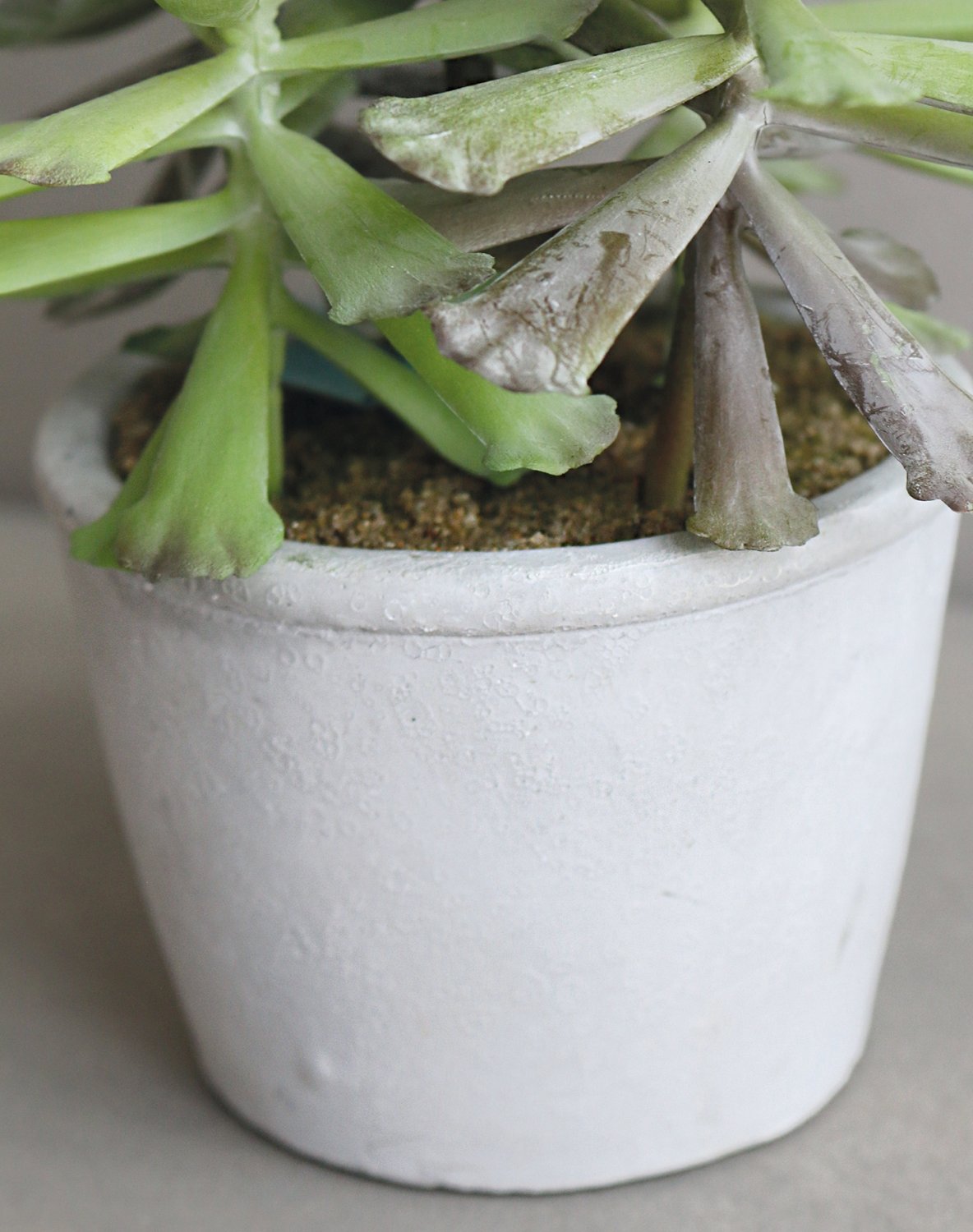 6102 883 a3 Искусственный суккулент, горшок, 25 см, зеленый H-andreas  - Вид №2