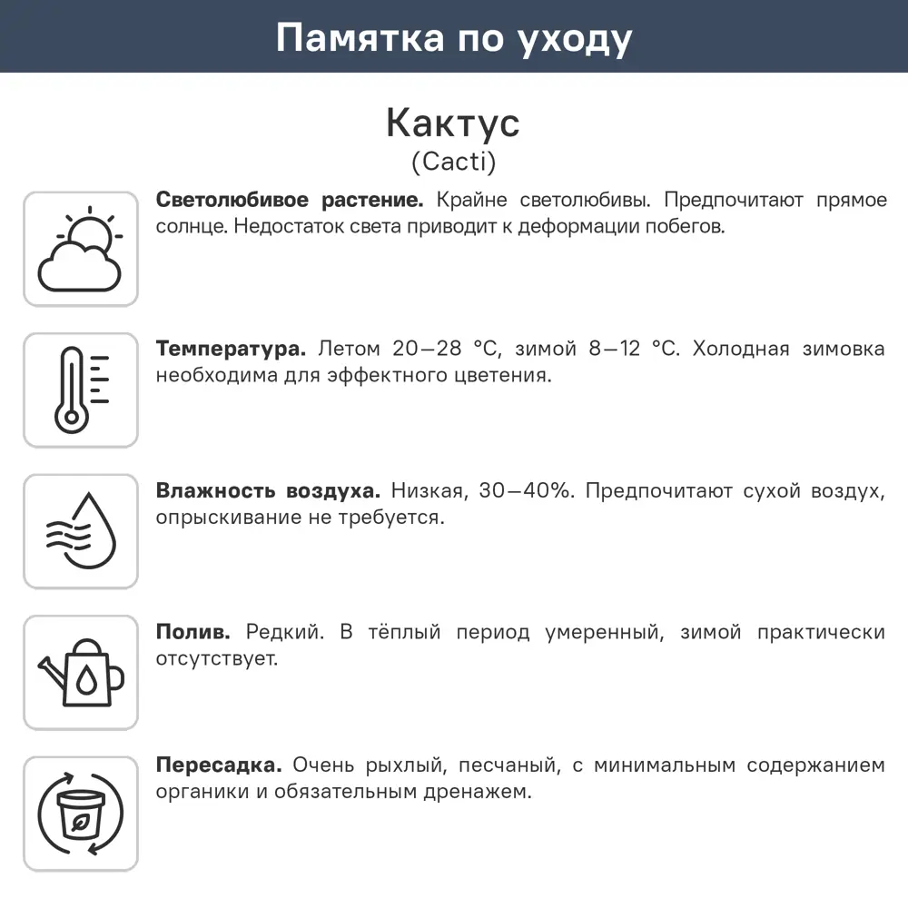 Кактус микс ø5 h10 см 89402626 STLM-2198949 ГОРКУНОВ  - Вид №2