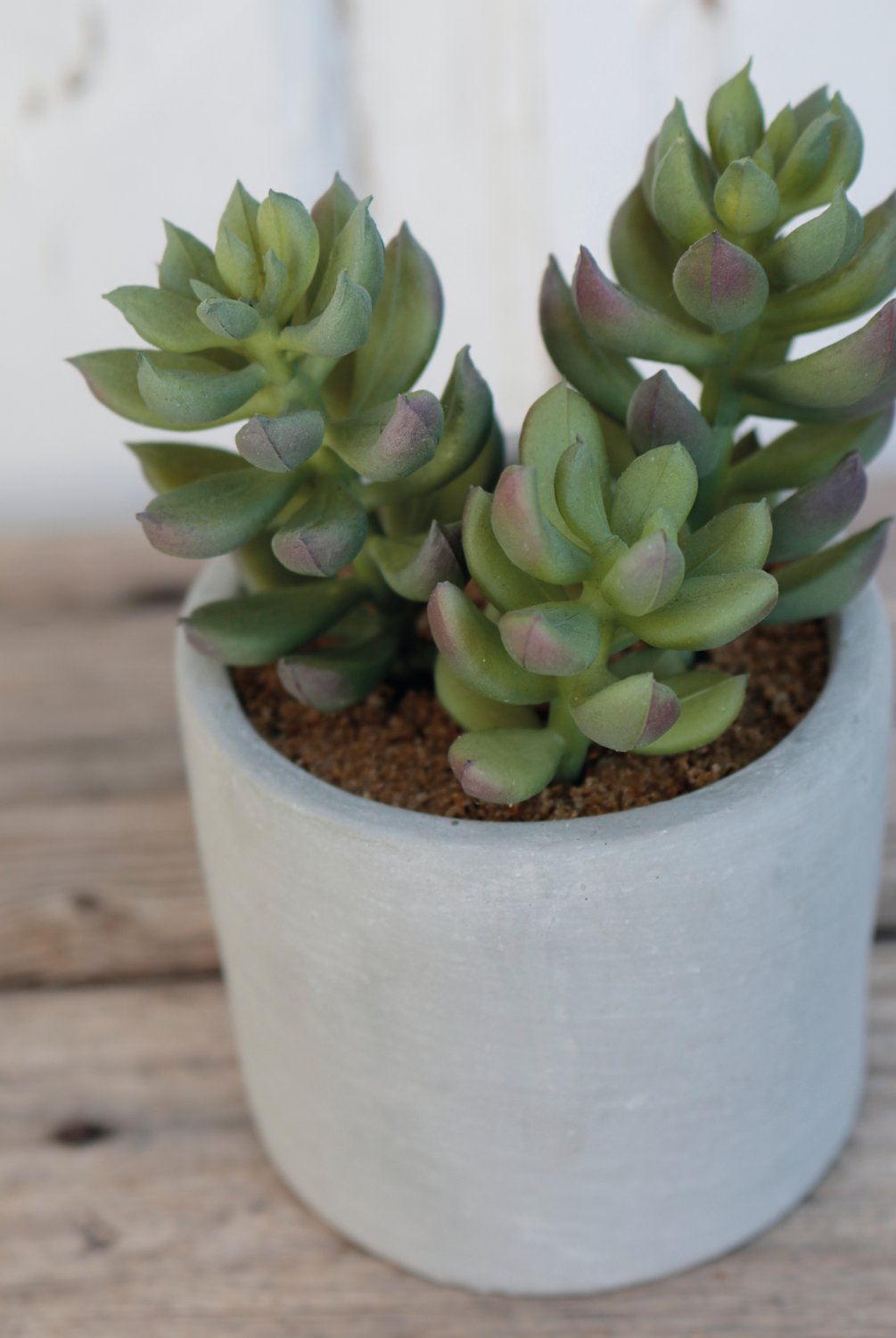 6068 883 a3 Пластиковые суккуленты-микс, в горшках, 3 шт., 10/14/17 см, зеленые H-andreas  - Вид №12