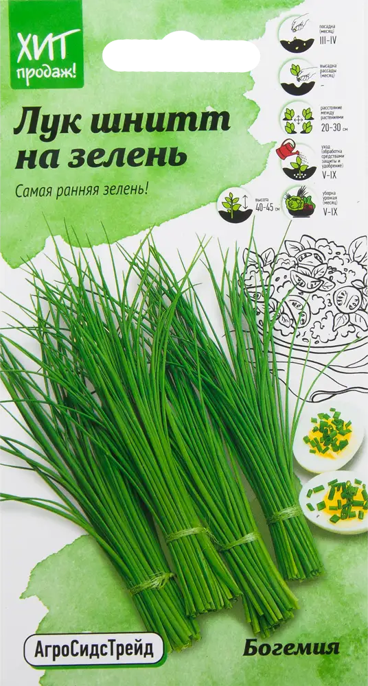 Лук на зелень «Богемия» от АГРОСИДСТРЕЙД - многолетний витаминный источник 82482175
