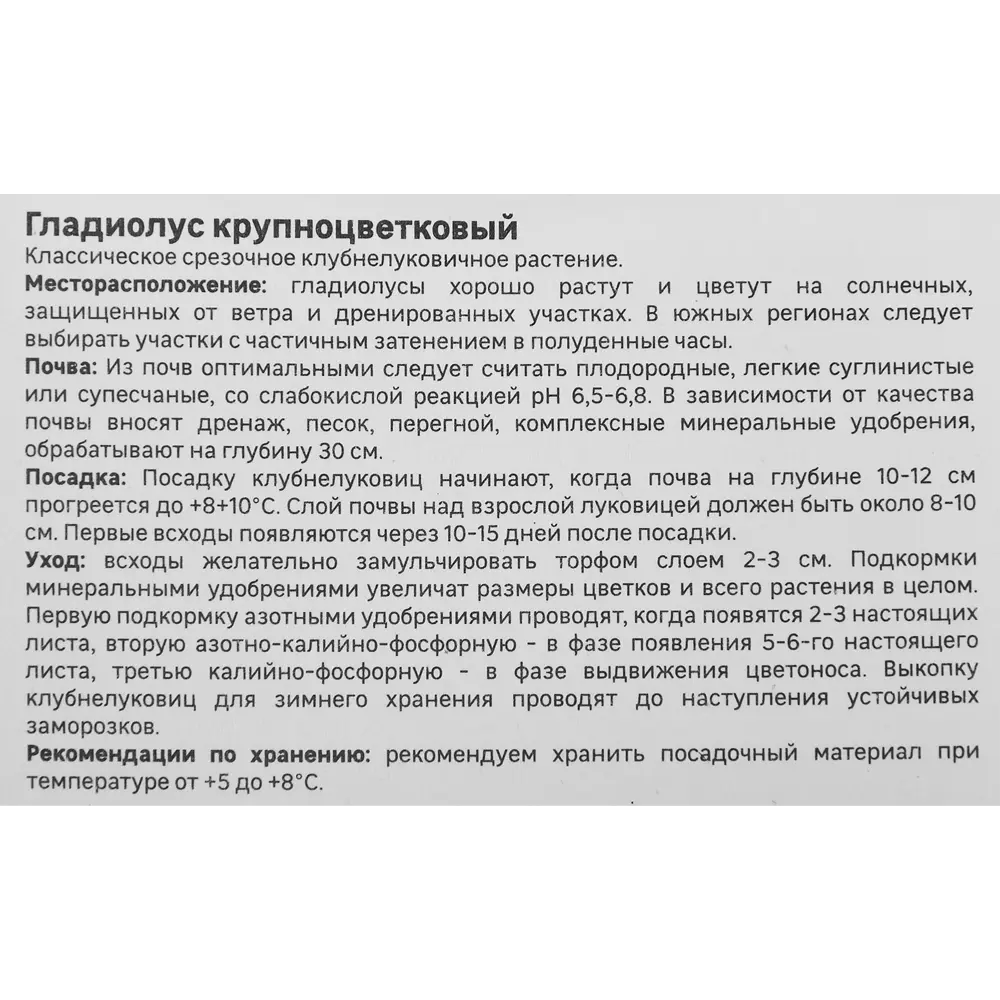 Гладиолус крупноцветковый Одиссея Geolia 3 шт 86408550 STLM-2098145  - Вид №2