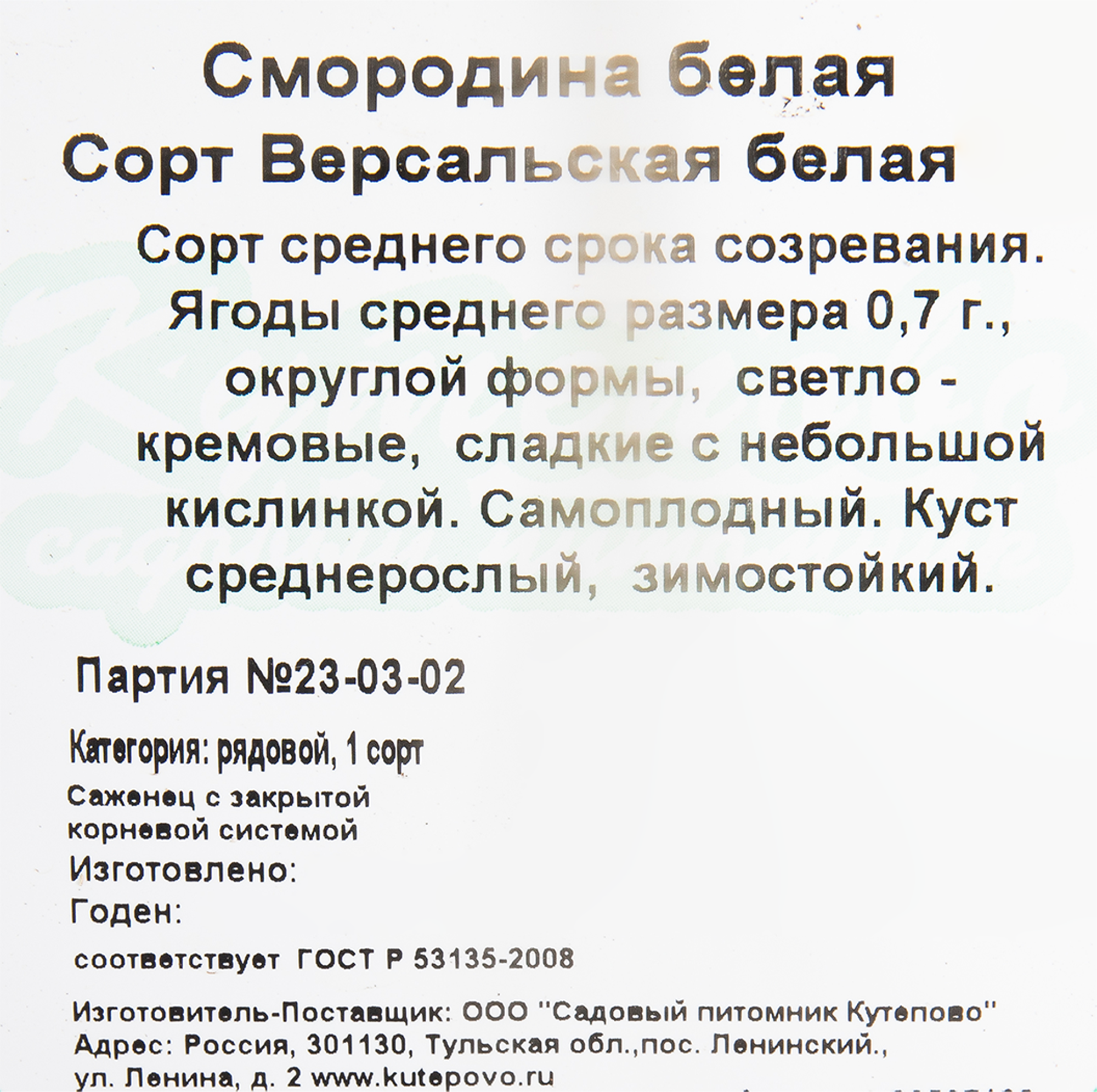 Саженец смородины белой Версальская C2 40 см 82597130 Santreyd STLM-0031012 - Вид №1