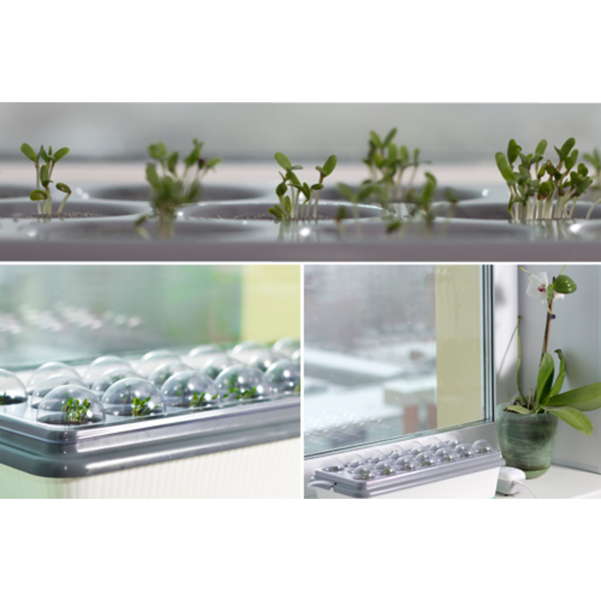 82116459 Проращиватель Здоровья клад «Чудо грядка» Santreyd  - Вид №8