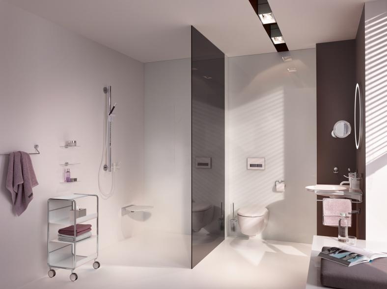 815.21.10040 держатель для туалетной бумаги HEWI WC-Accessoires  - Вид №3