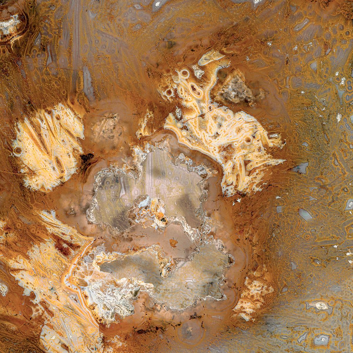 SICIS Marmorato Camel Cro Spathula sun-id-1991112 - Вид №3