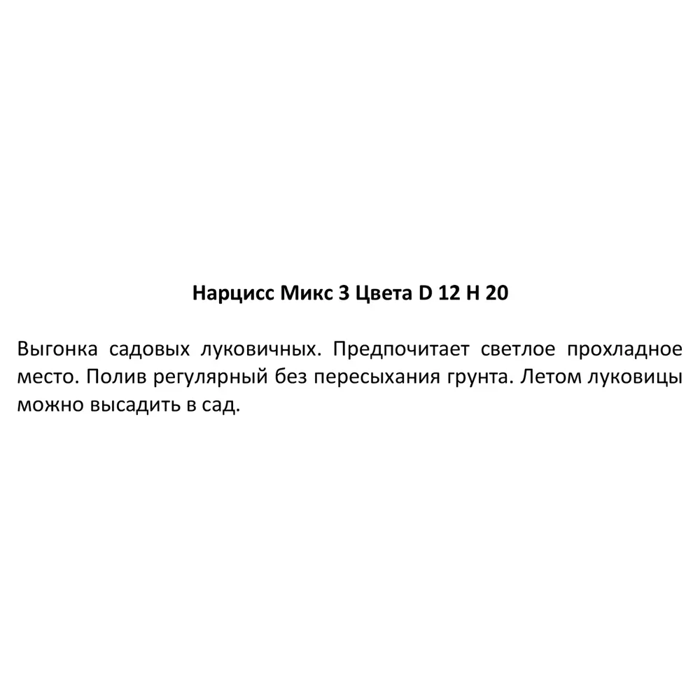 Нарцисс микс ø12 h20 см 83738731 STLM-2117907 Santreyd  - Вид №3